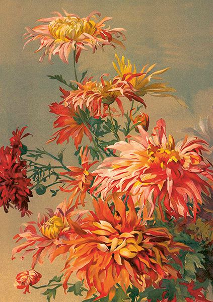 Sköna Ting doble kort