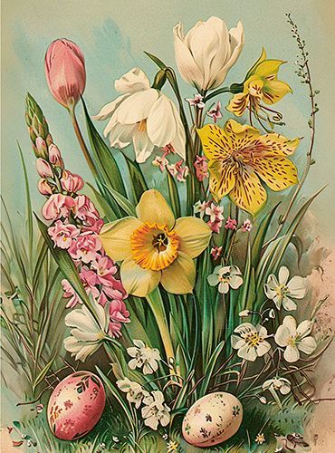 Sköna Ting medium doble 12-pakk