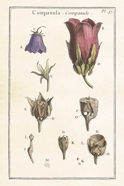 Sköna Ting enkle kort 25-pakk