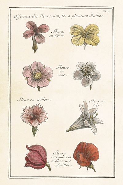 Sköna Ting enkle kort 25-pakk