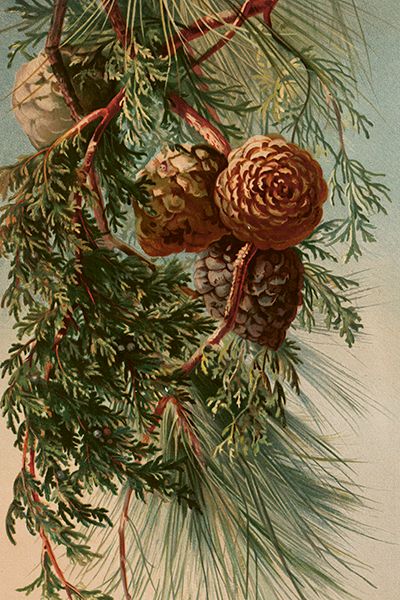 Sköna Ting enkle kort 25-pakk