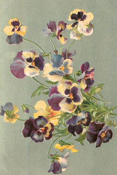 Sköna Ting enkle kort 25-pakk