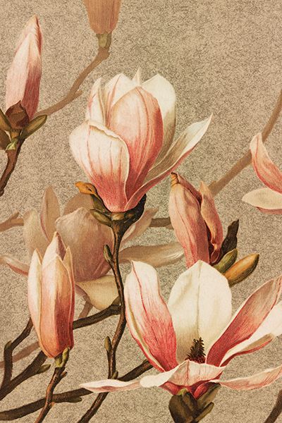 Sköna Ting enkle kort 25-pakk