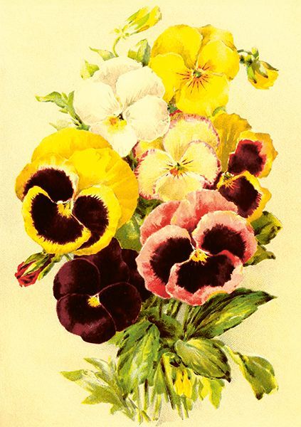 Sköna Ting doble kort