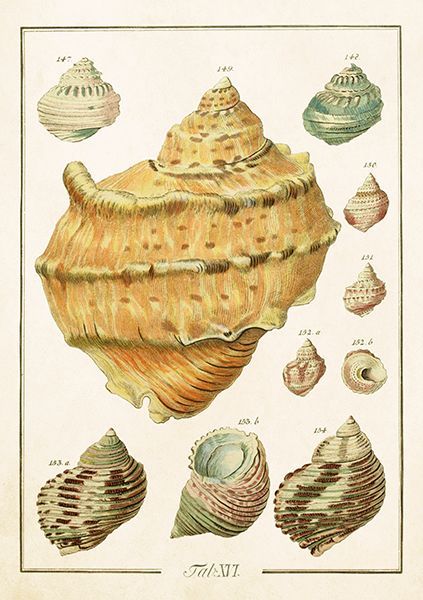 Sköna Ting doble kort