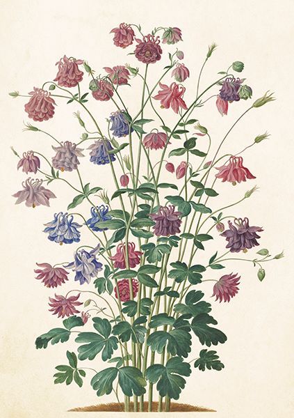 Sköna Ting doble kort