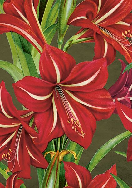 Sköna Ting doble kort