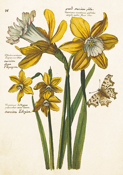 Sköna Ting doble kort