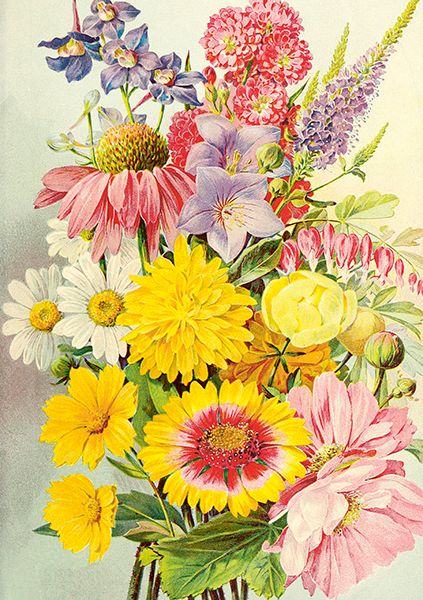 Sköna Ting doble kort