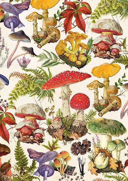 Sköna Ting doble kort