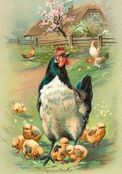 Sköna Ting doble kort