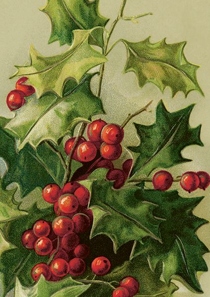 Sköna Ting doble kort