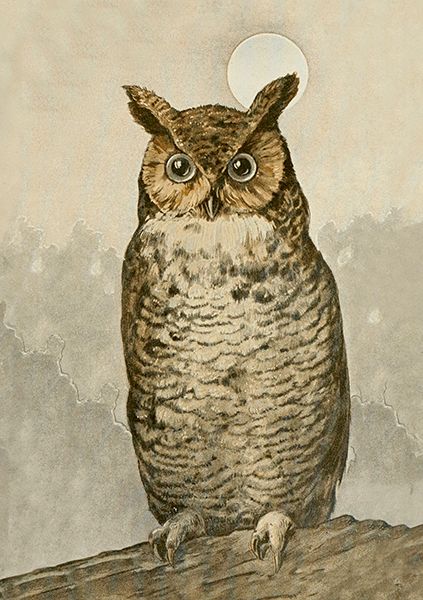 Sköna Ting doble kort