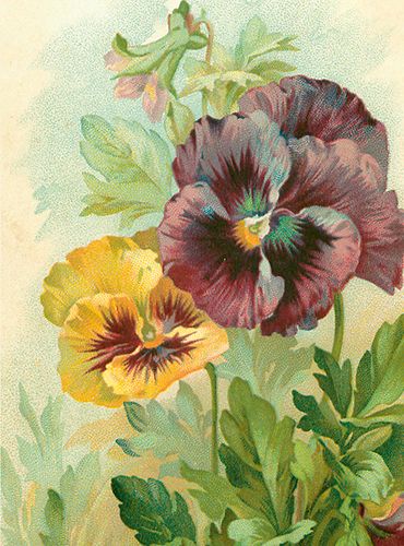 Sköna Ting medium doble 12-pakk