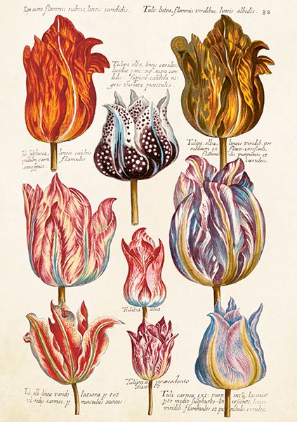 Sköna Ting doble kort