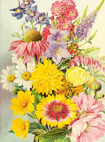 Sköna Ting medium doble 12-pakk