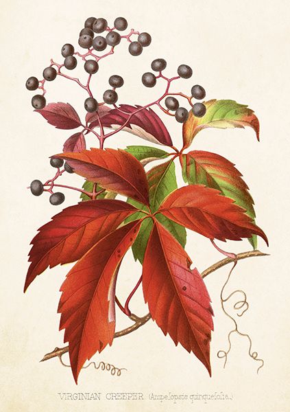 Sköna Ting doble kort