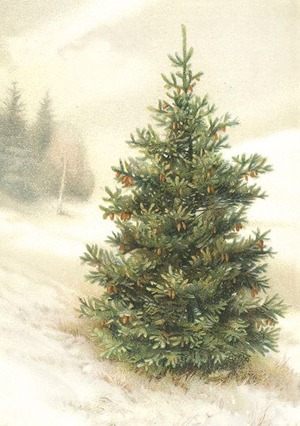 Sköna Ting doble kort