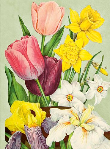 Sköna Ting medium doble 12-pakk