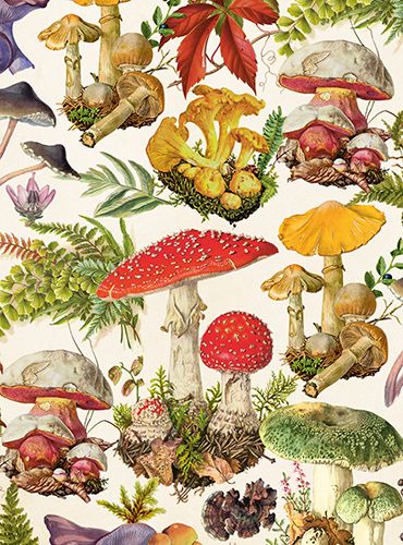 Sköna Ting medium doble 12-pakk