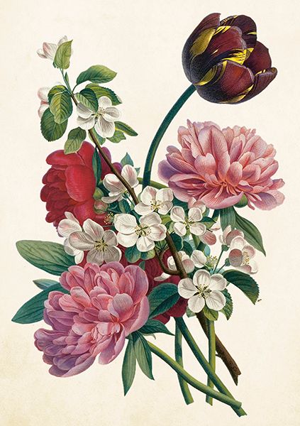 Sköna Ting doble kort