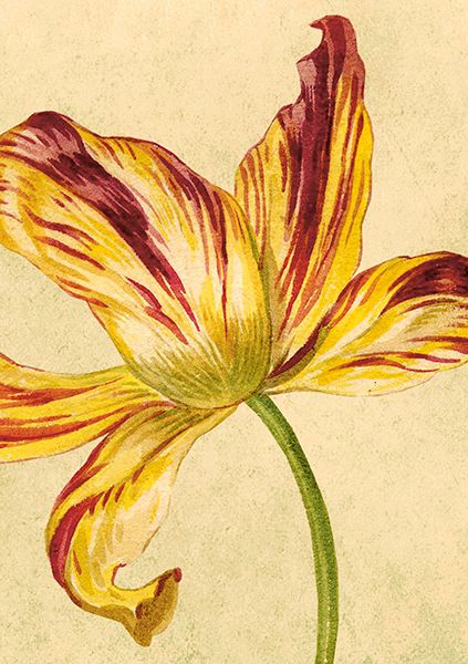 Sköna Ting doble kort