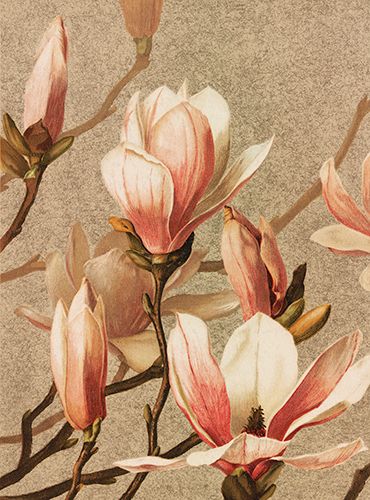 Sköna Ting medium doble 12-pakk