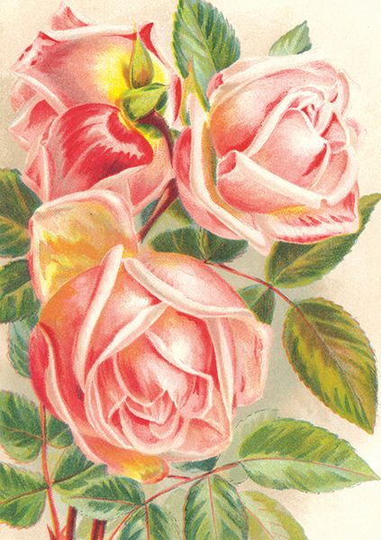 Sköna Ting doble kort