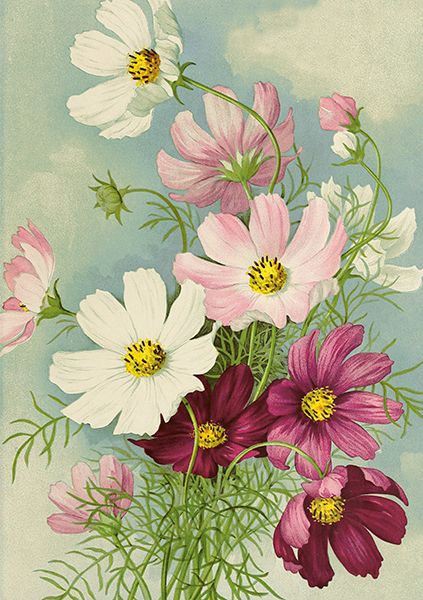 Sköna Ting doble kort