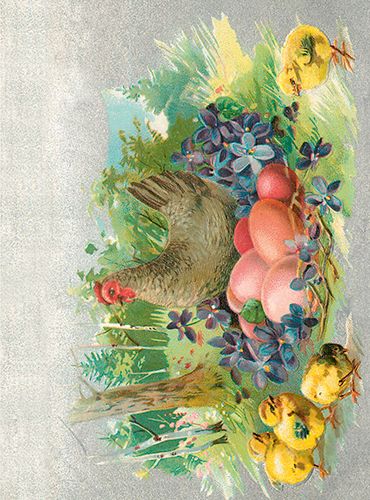 Sköna Ting medium doble 12-pakk