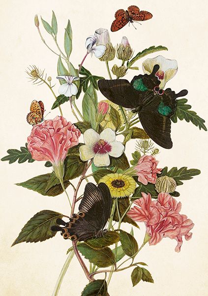 Sköna Ting doble kort