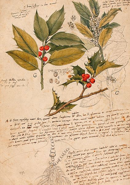 Sköna Ting doble kort