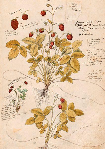 Sköna Ting doble kort