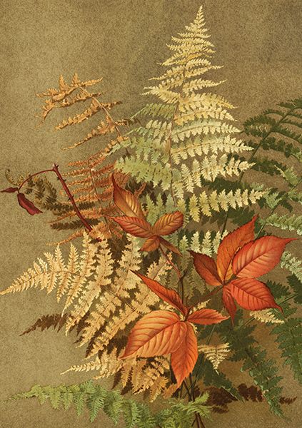 Sköna Ting doble kort