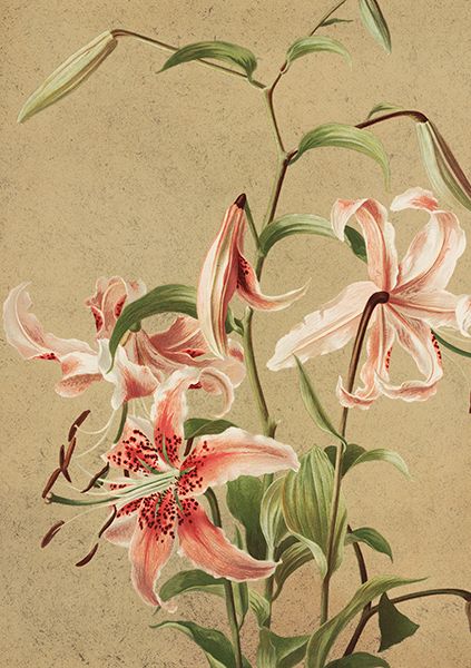 Sköna Ting doble kort