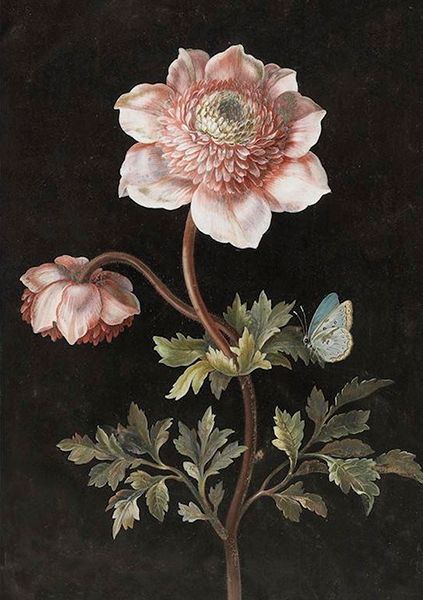 Sköna Ting doble kort