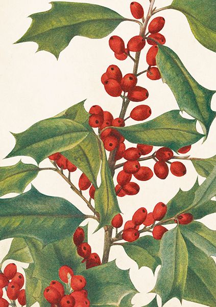 Sköna Ting doble kort