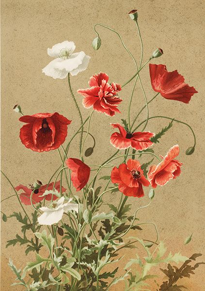 Sköna Ting doble kort