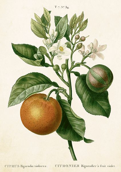 Sköna Ting doble kort