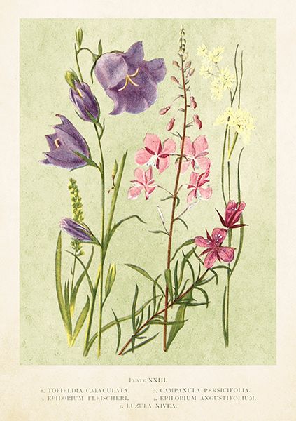 Sköna Ting doble kort