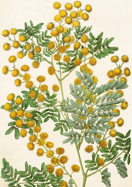 Sköna Ting doble kort