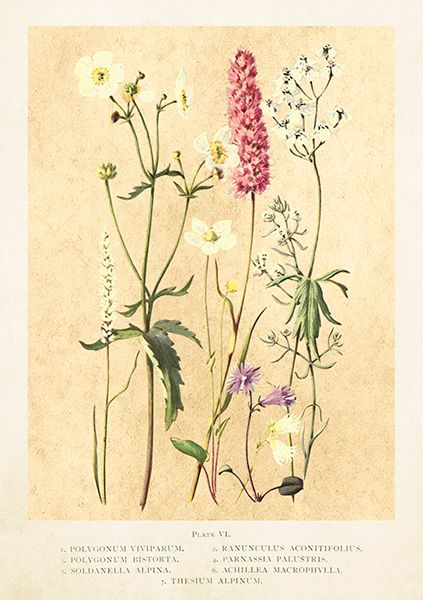 Sköna Ting doble kort