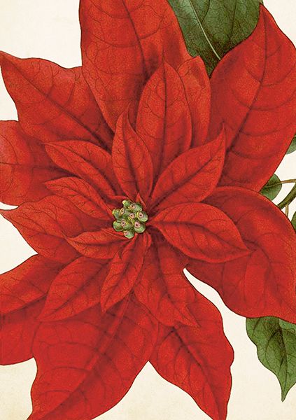 Sköna Ting doble kort