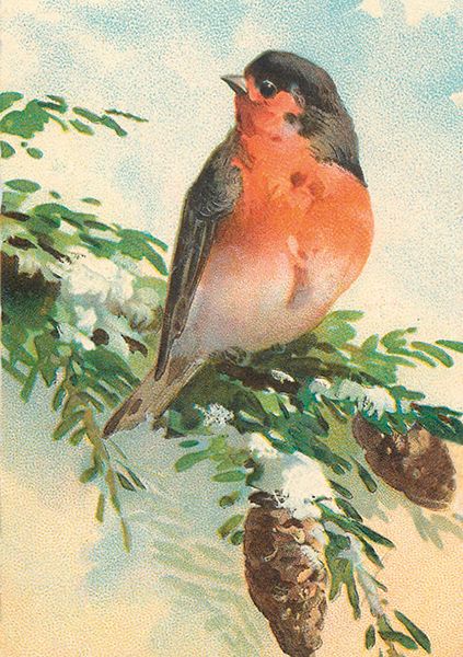 Sköna Ting doble kort