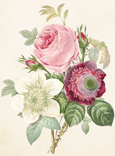 Sköna Ting medium doble 12-pakk