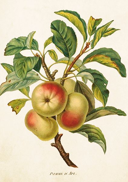 Sköna Ting doble kort