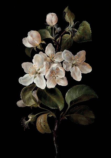 Sköna Ting doble kort