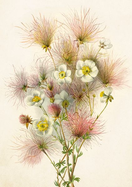 Sköna Ting doble kort