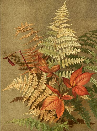 Sköna Ting medium doble 12-pakk