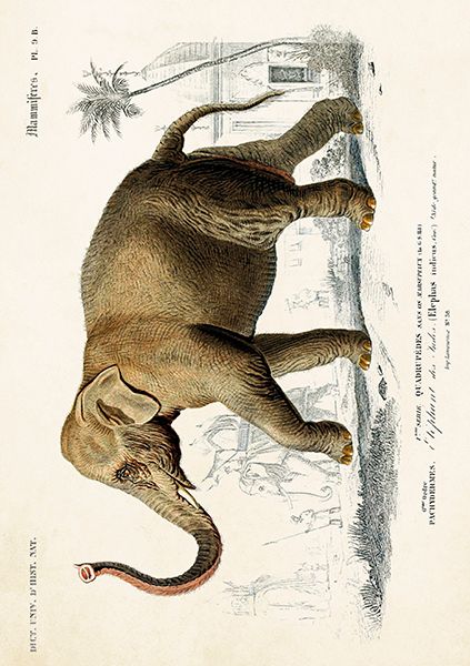 Sköna Ting doble kort 12-pakk